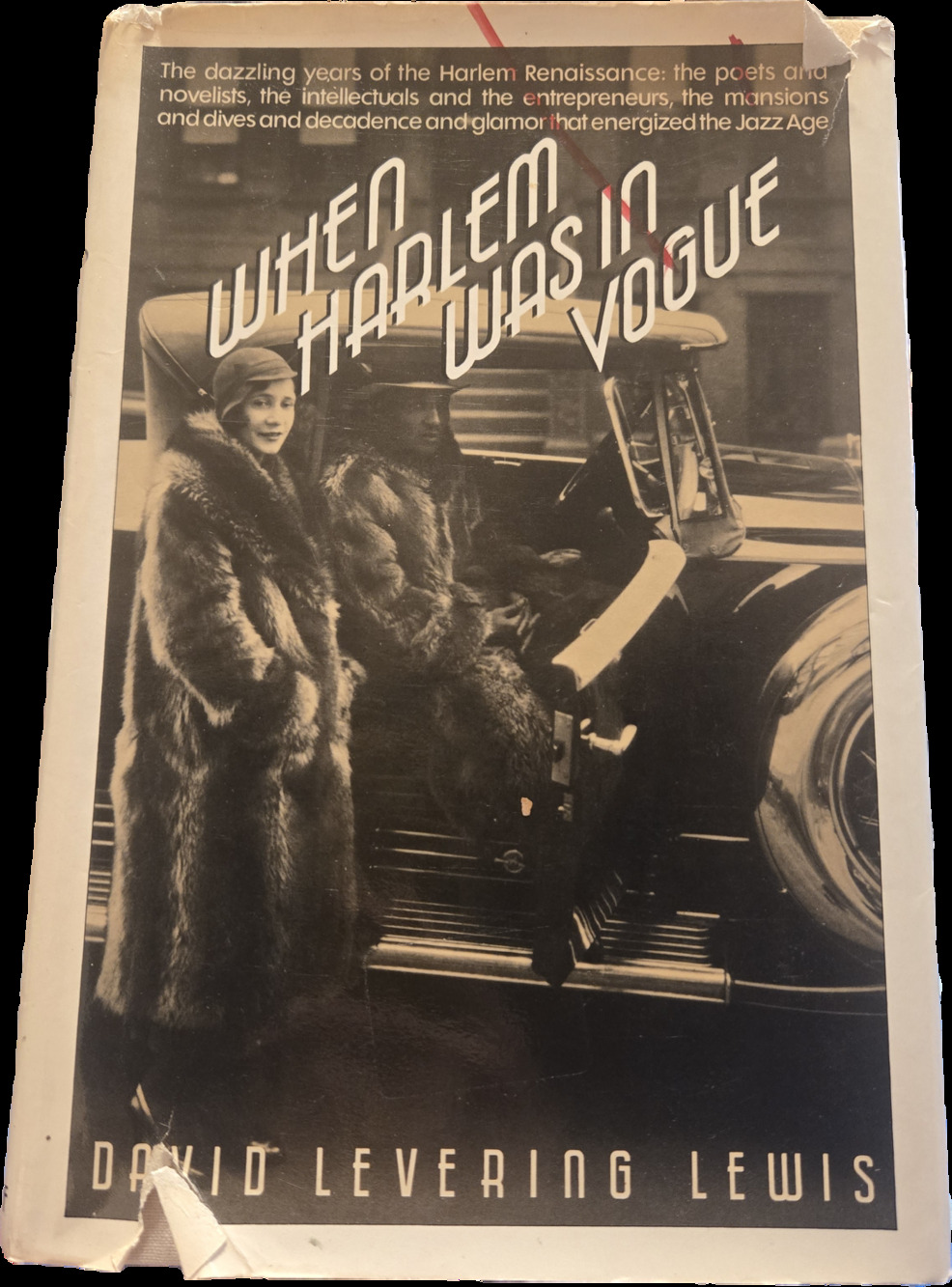 ​When Harlem Was in Vogue David Levering Lewis 1984 Jazz Age Harlem Renaissance